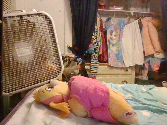 starlight1983 webcam