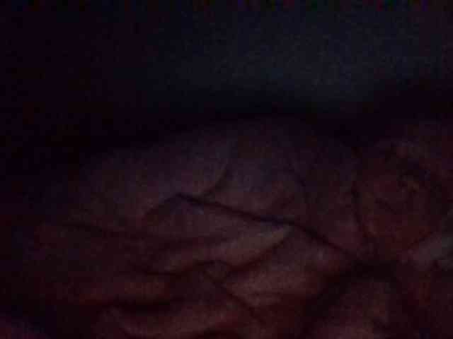 starlight1983 webcam