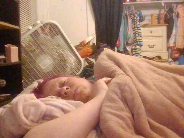 starlight1983 webcam