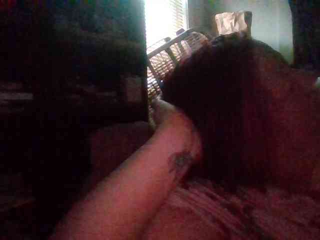 starlight1983 webcam