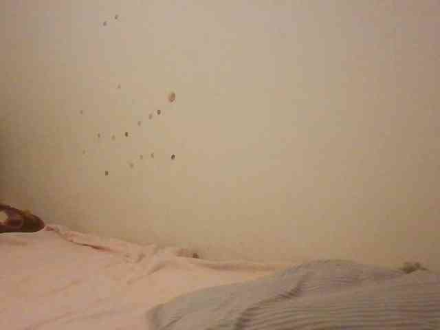 starlight1983 webcam