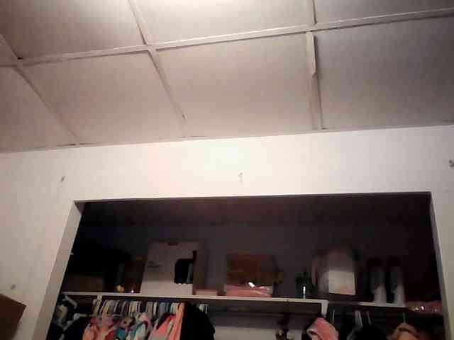 starlight1983 webcam