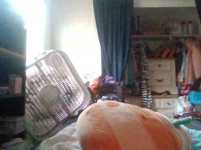 starlight1983 webcam