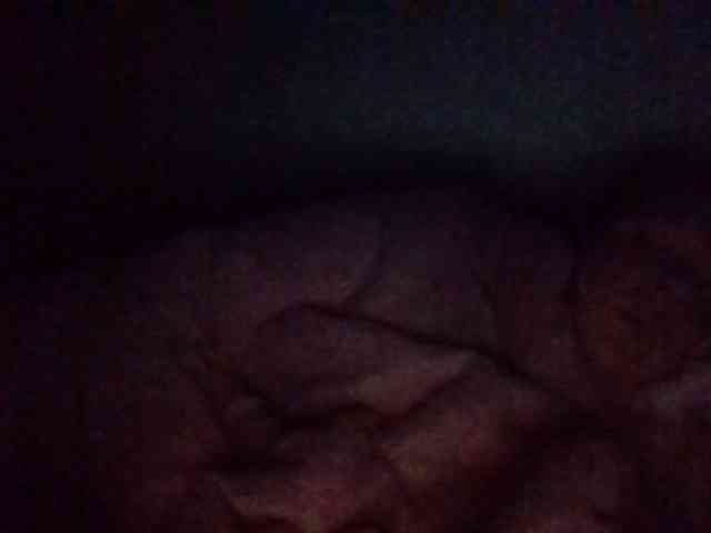 starlight1983 webcam