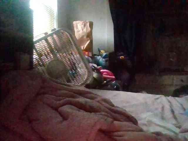 starlight1983 webcam