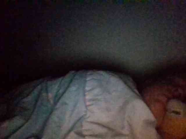 starlight1983 webcam