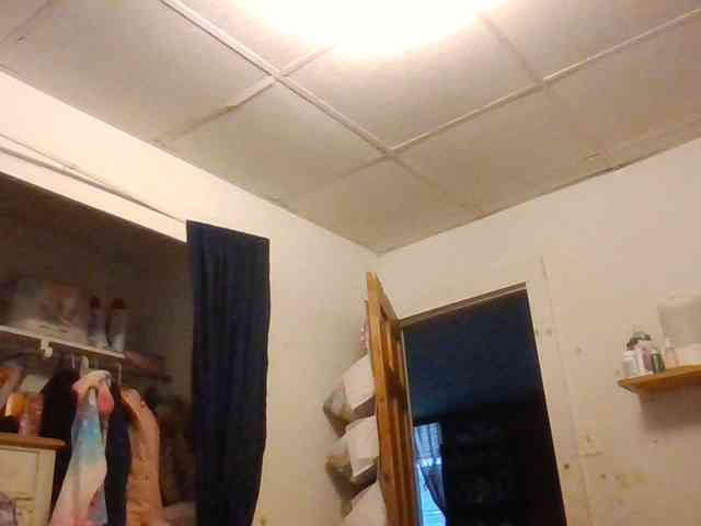 starlight1983 webcam