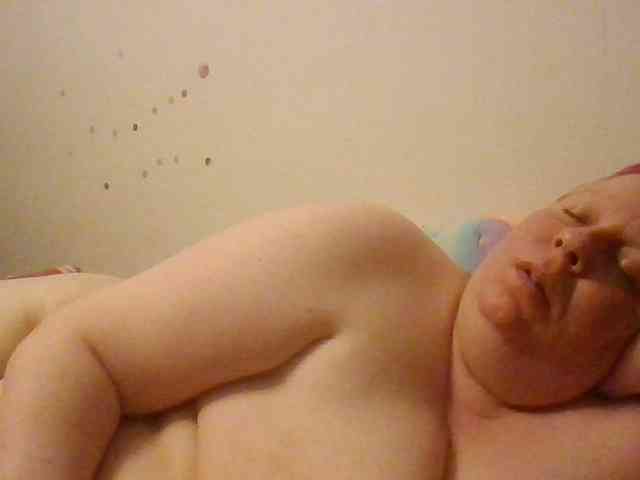 starlight1983 webcam