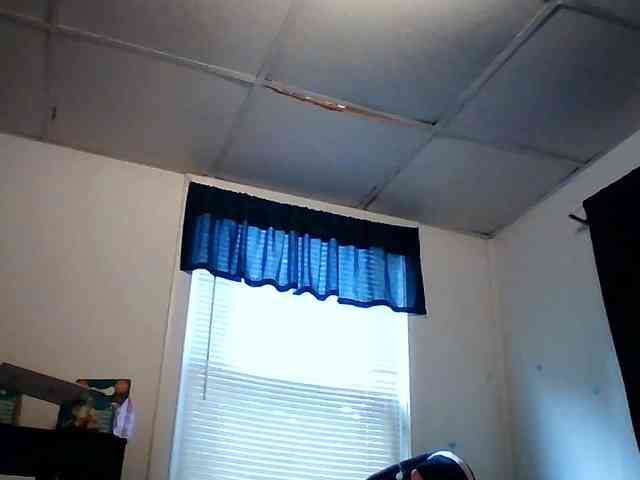 starlight1983 webcam