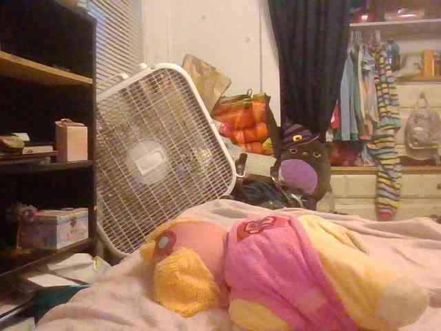 starlight1983 webcam