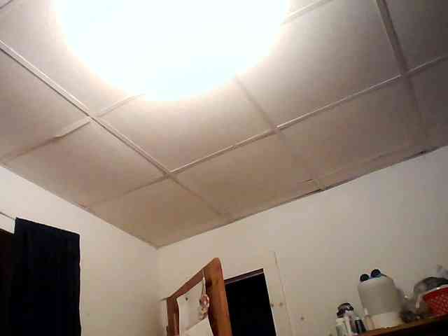 starlight1983 webcam