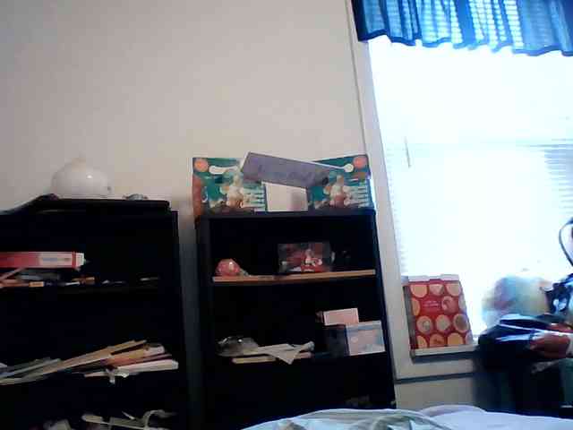 starlight1983 webcam