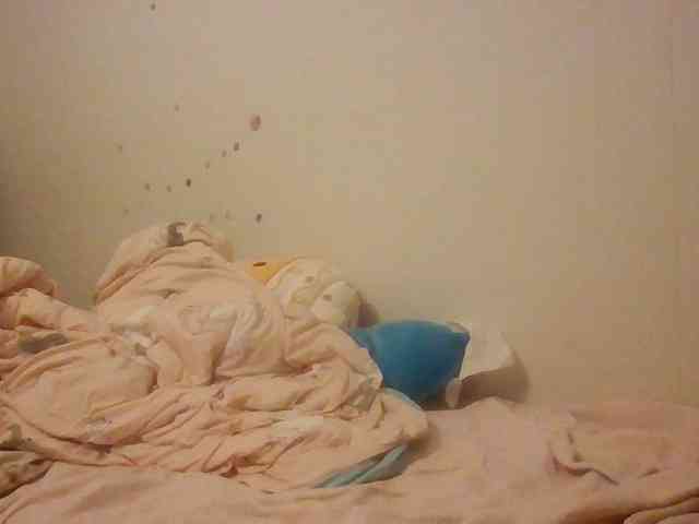starlight1983 webcam