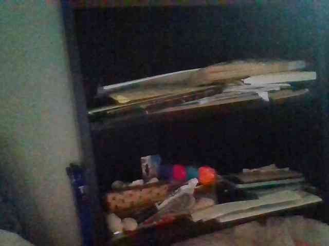 starlight1983 webcam