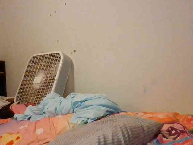 starlight1983 webcam