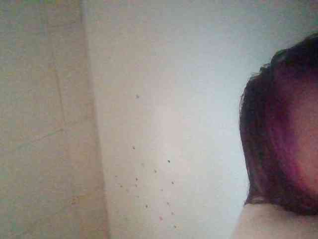 starlight1983 webcam