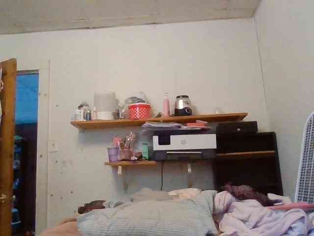 starlight1983 webcam