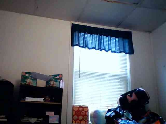 starlight1983 webcam