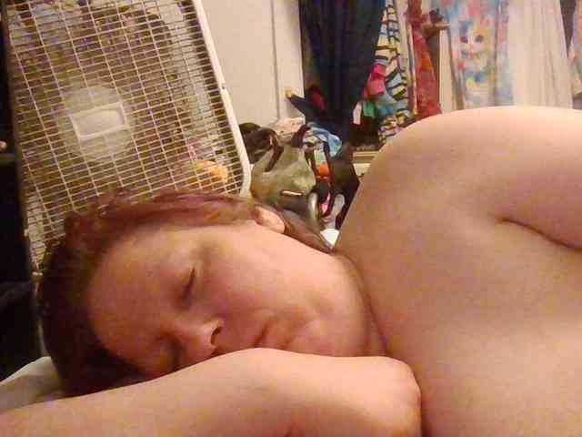starlight1983 webcam