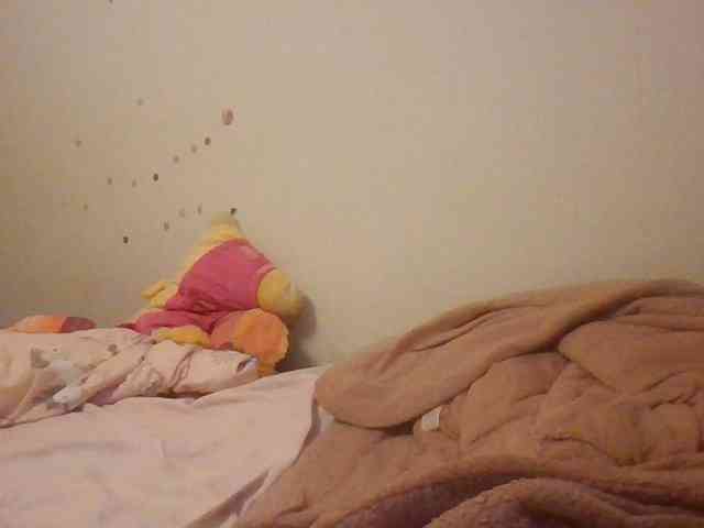 starlight1983 webcam