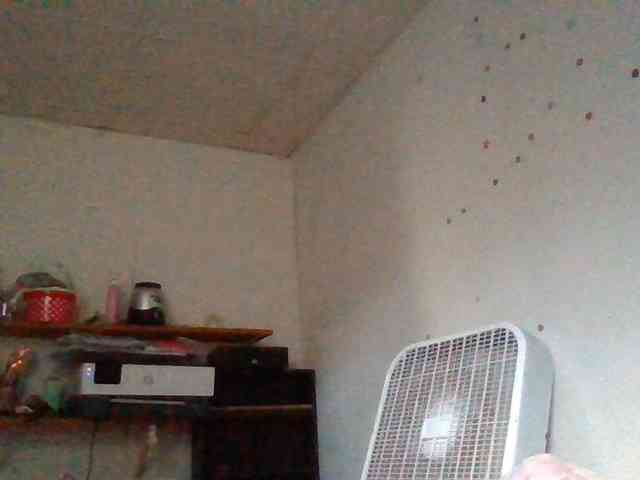 starlight1983 webcam