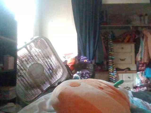 starlight1983 webcam