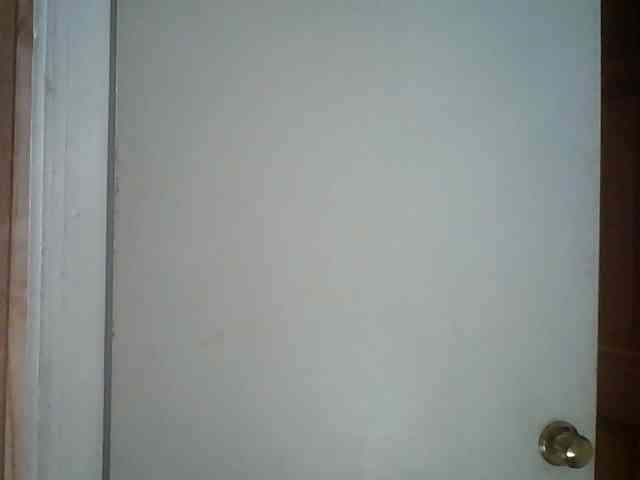 starlight1983 webcam