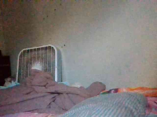 starlight1983 webcam