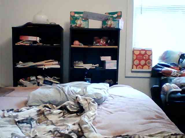 starlight1983 webcam