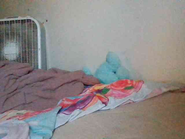 starlight1983 webcam