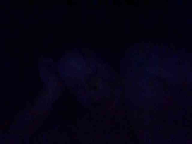 starlight1983 webcam