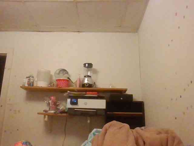 starlight1983 webcam