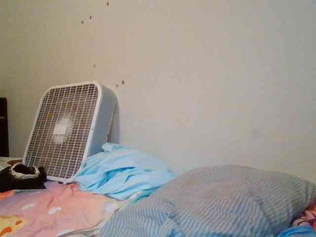 starlight1983 webcam