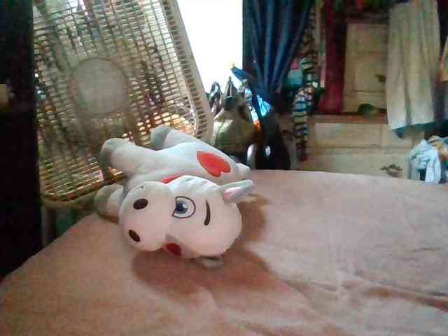 starlight1983 webcam