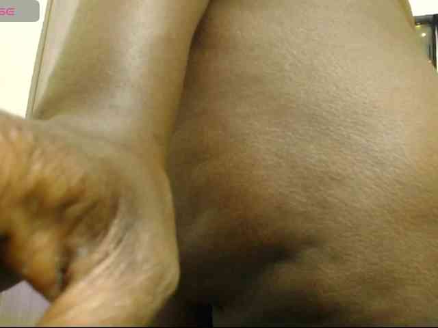 moniquelamor webcam