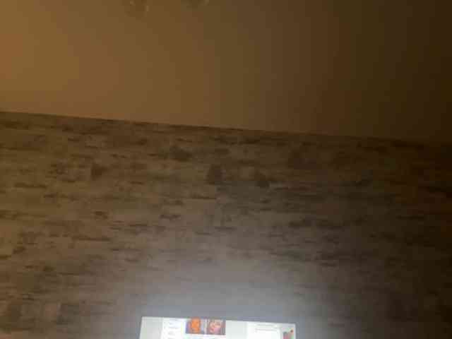 swUKJulia webcam