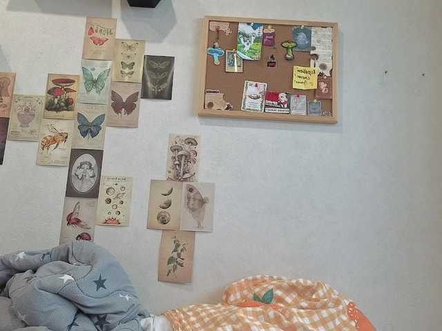 CarolineRichter live cam on BongaCams