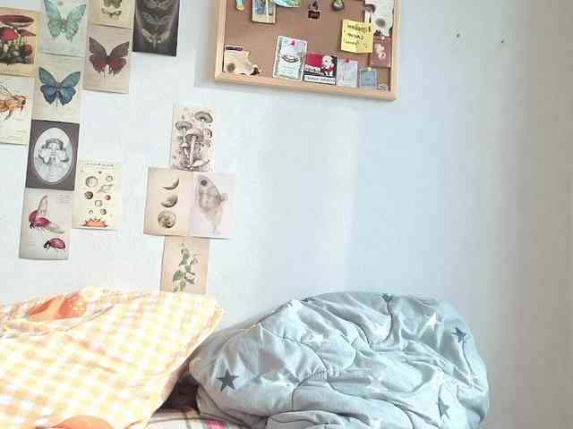 CarolineRichter webcam