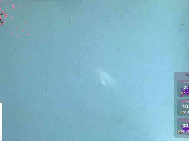CarolineRichter webcam