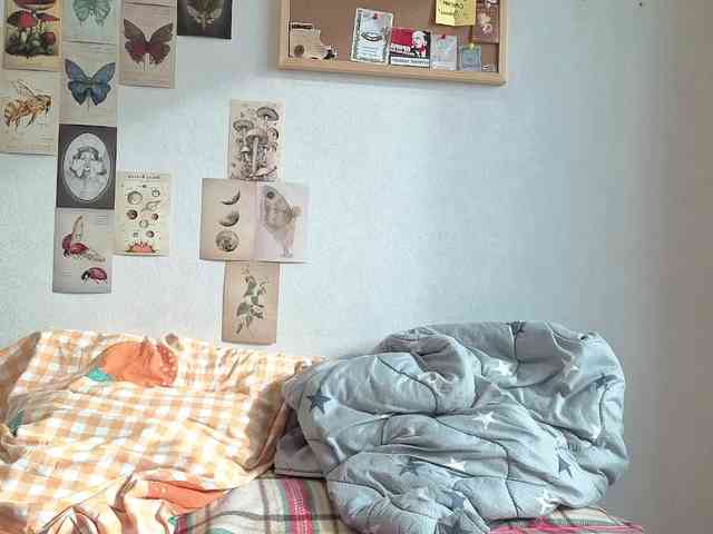 CarolineRichter webcam