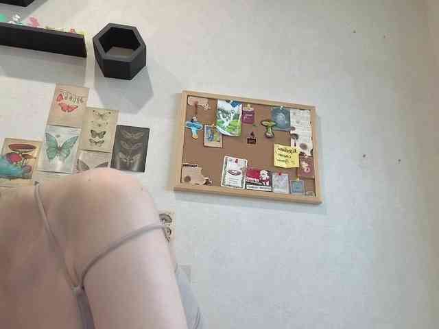 CarolineRichter webcam