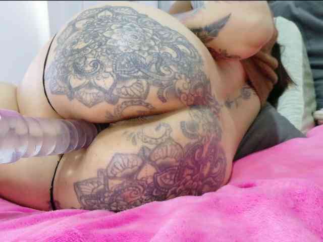 velvetmallow webcam