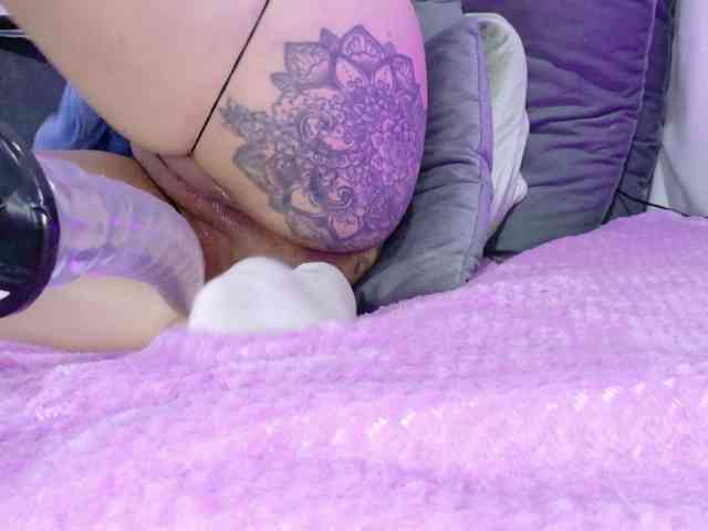 velvetmallow webcam