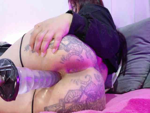 velvetmallow webcam