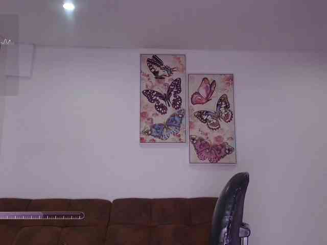 dolcebella1 webcam