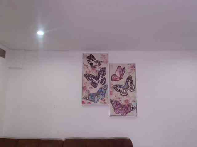 dolcebella1 webcam