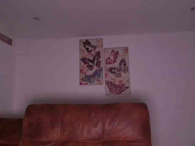 dolcebella1 webcam