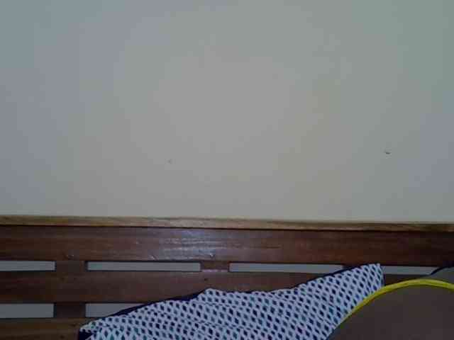 Prettyliz30 webcam