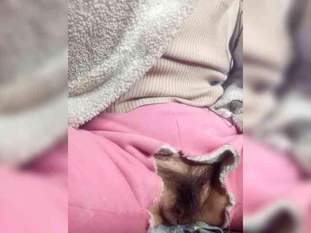 hujiajiajia1314 webcam