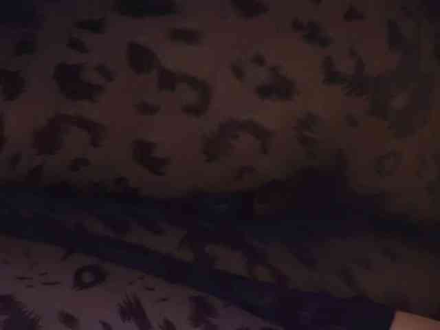 AliceMunro webcam